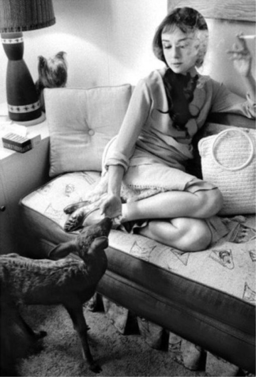 Inspiration: homemade images of Audrey Hepburn