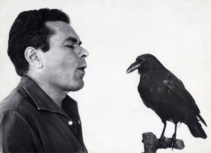 Inspired by Crows: Talented illustrator Paul Flora