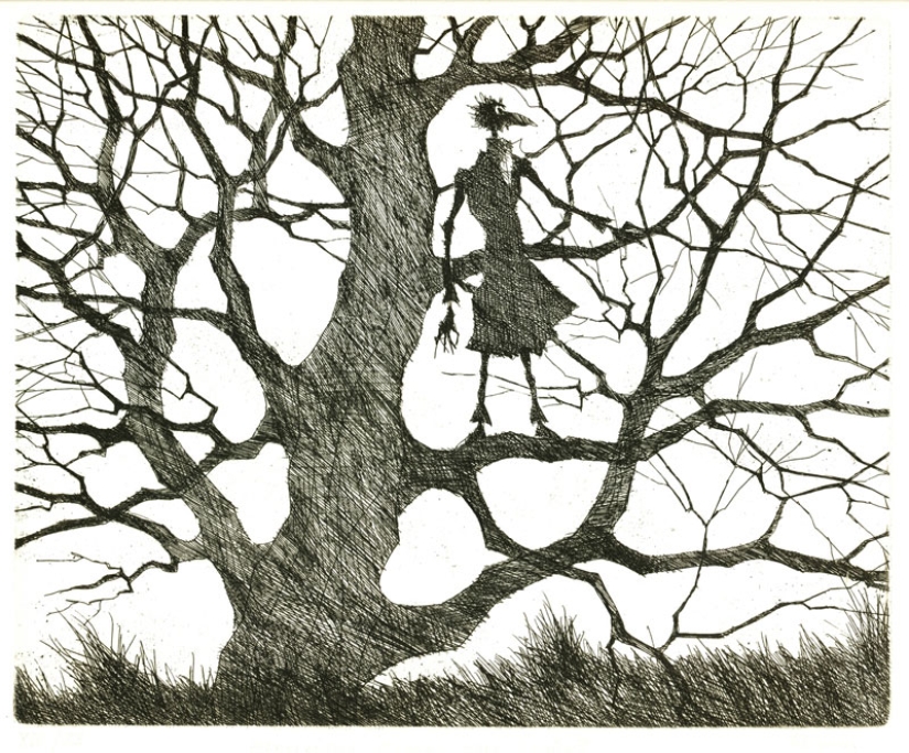 Inspired by Crows: Talented illustrator Paul Flora