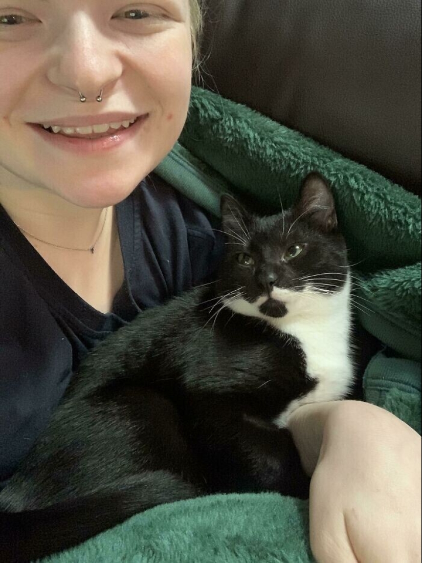 Instead of sight words: 20+ Pets who deeply love their owners