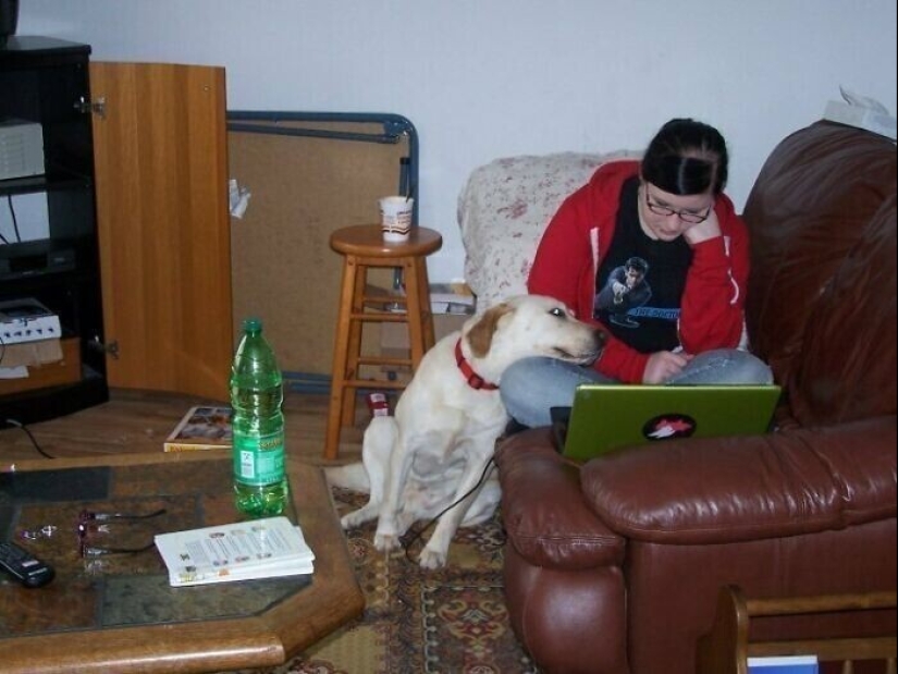 Instead of sight words: 20+ Pets who deeply love their owners