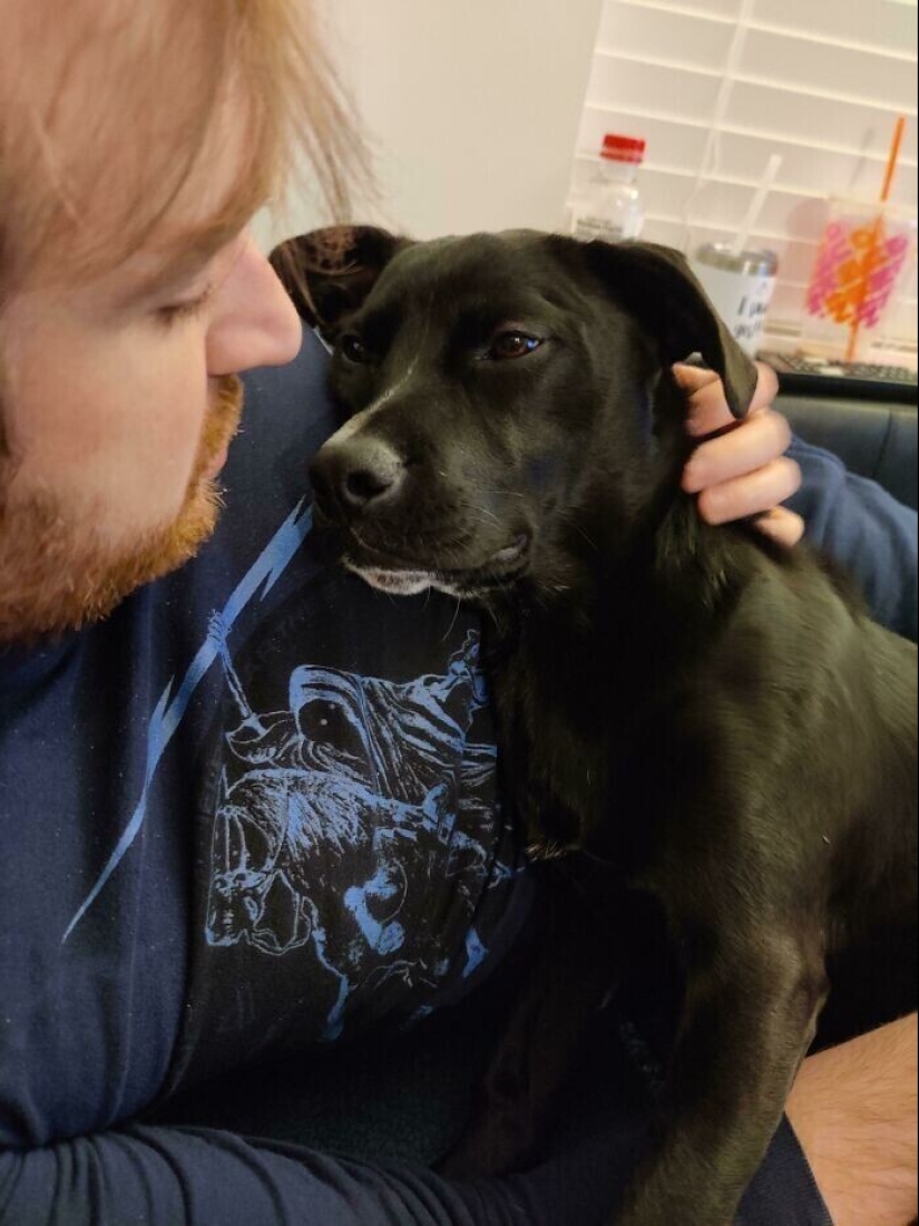 Instead of sight words: 20+ Pets who deeply love their owners