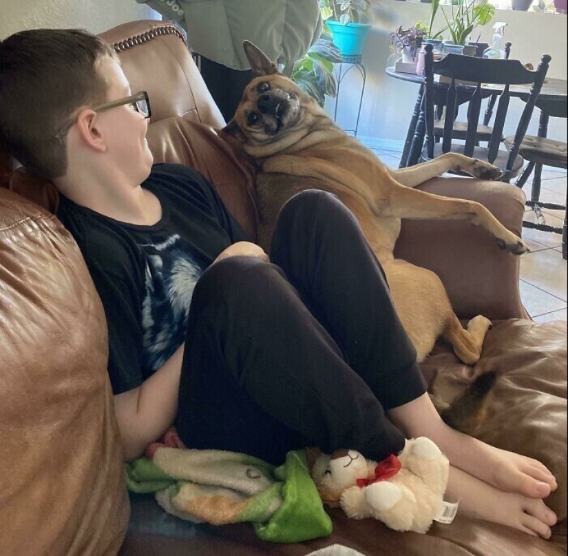 Instead of sight words: 20+ Pets who deeply love their owners