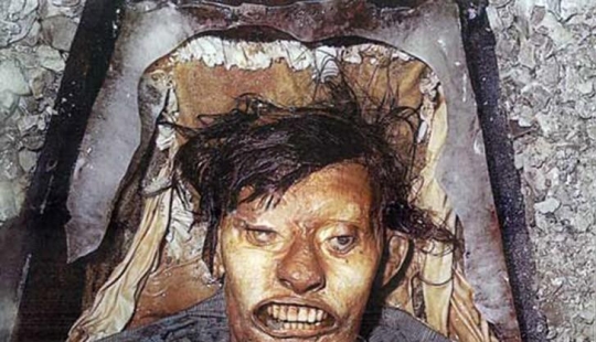 Interesting facts about chameleons