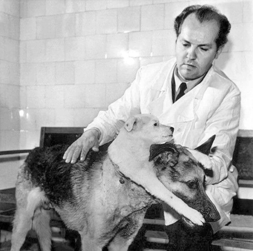 Is it possible to transplant a human head Is it possible to transplant a human head