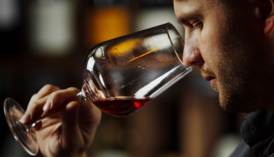 Is there a" powdered wine " and why not be afraid of it