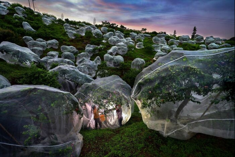 Istanbul Photo Awards 2025: Powerful Images That Defined The Year