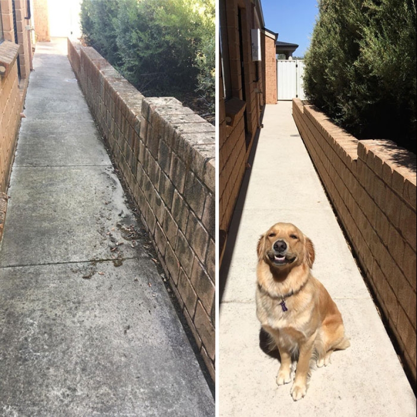 It's not a renovation, it's a cleaning! 30 examples of the transformations a simple cleaning can bring.