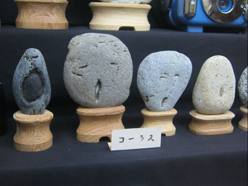 Japan's Tinsekikan Museum collects face-like stones