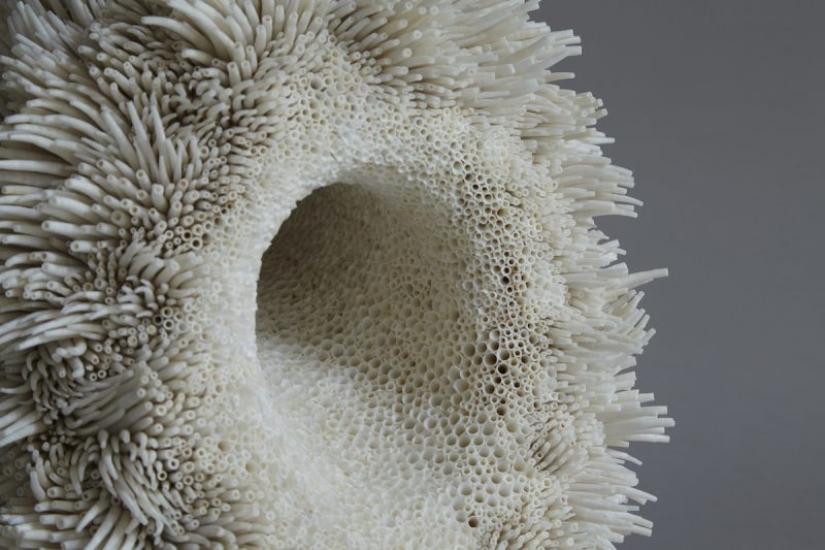 Jewelry: British artist creates stunning sculptures from thousands of seashells
