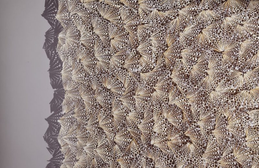 Jewelry: British artist creates stunning sculptures from thousands of seashells