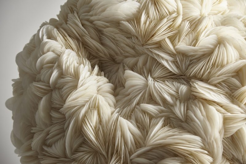 Jewelry: British artist creates stunning sculptures from thousands of seashells