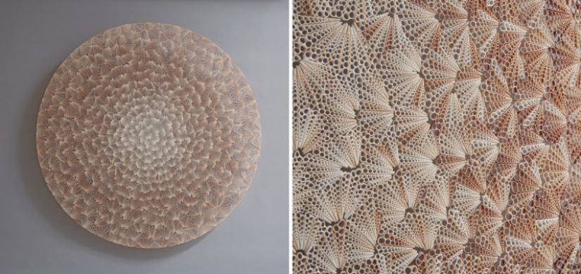 Joyería: artista Británico crea impresionantes esculturas de miles de conchas de mar
