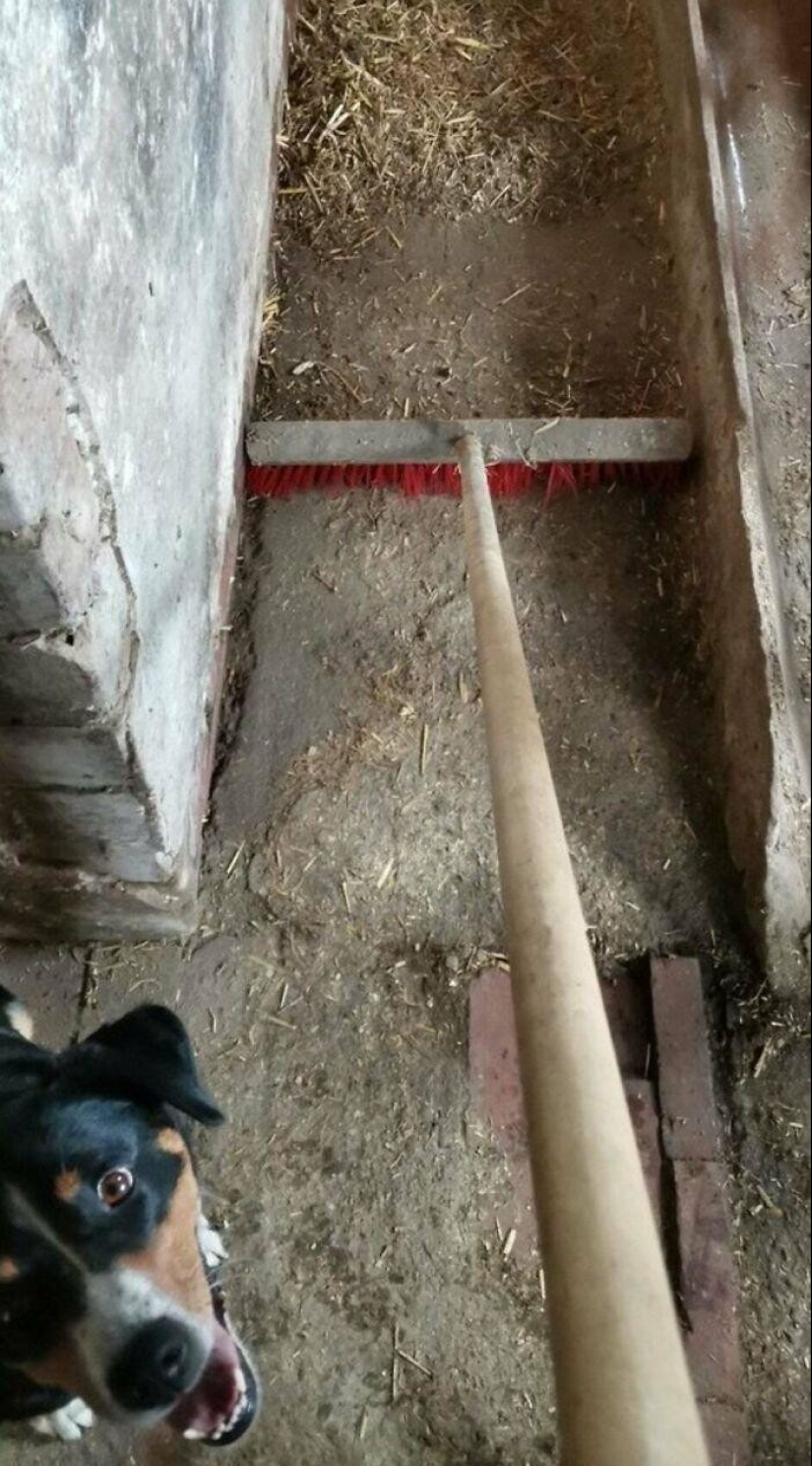 Just right: 50 perfect photos for the joy of perfectionists Just right: 50 perfect photos for the joy of perfectionists