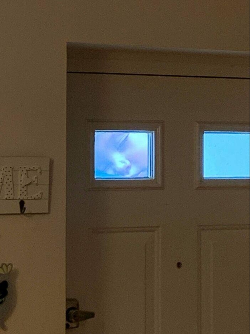 Just right: 50 perfect photos for the joy of perfectionists Just right: 50 perfect photos for the joy of perfectionists