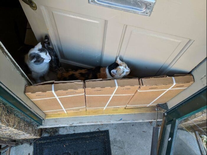 Just right: 50 perfect photos for the joy of perfectionists Just right: 50 perfect photos for the joy of perfectionists