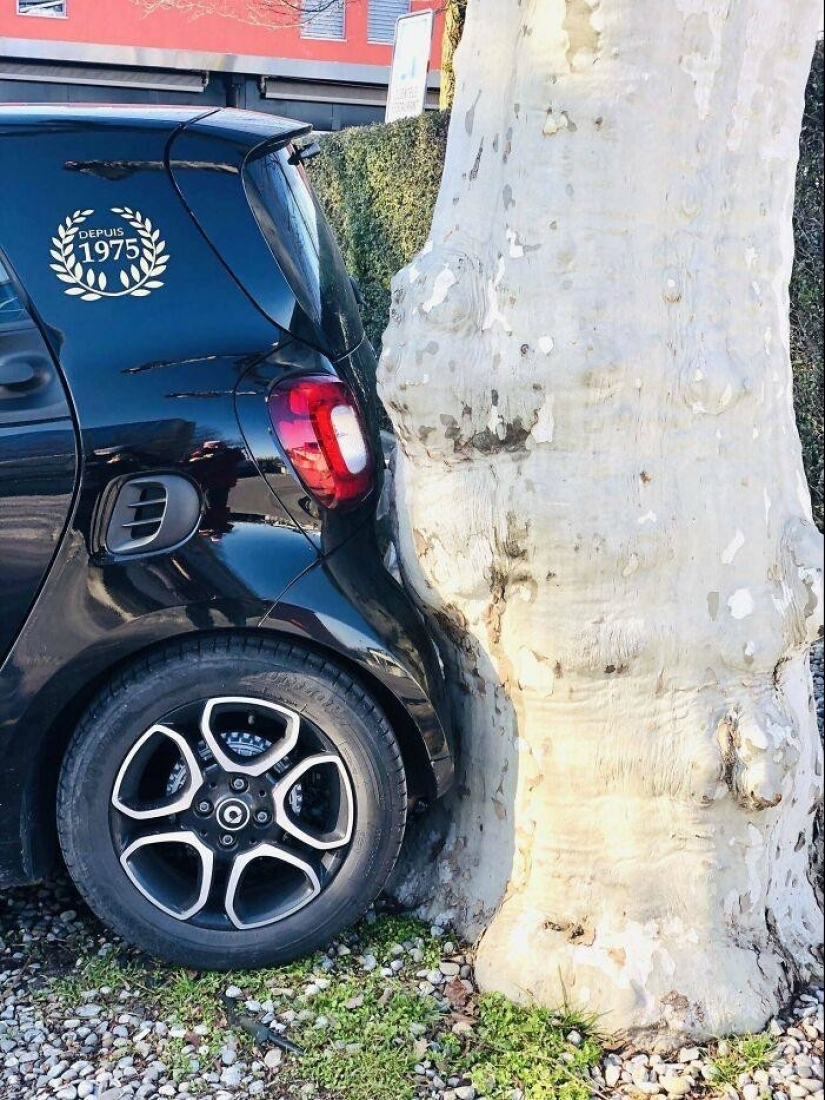 Just right: 50 perfect photos for the joy of perfectionists Just right: 50 perfect photos for the joy of perfectionists