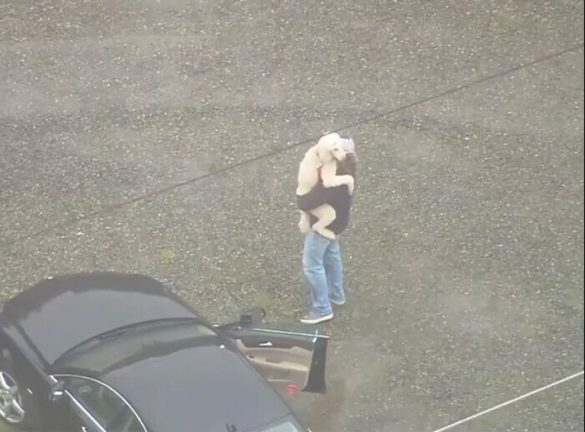 Keep the faith: 20+ touching cases when returned missing dog