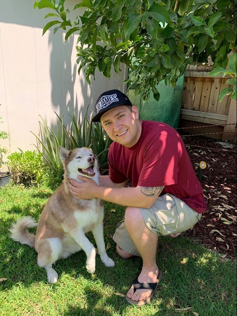 Keep the faith: 20+ touching cases when returned missing dog