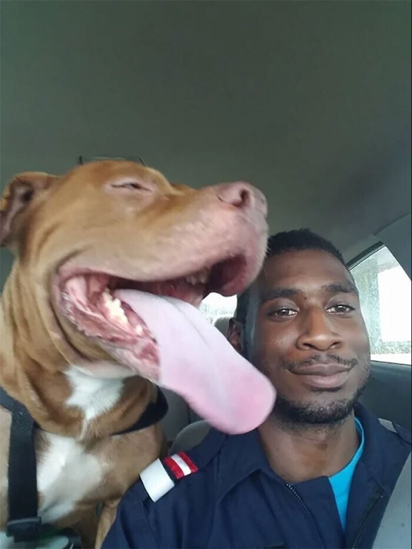 Keep the faith: 20+ touching cases when returned missing dog