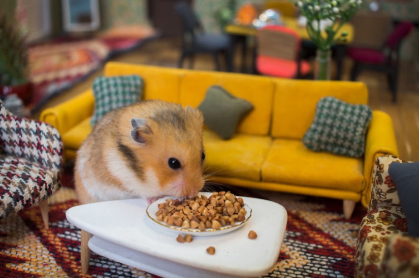 Khomyakopolis is a miniature hamster city that looks better than yours