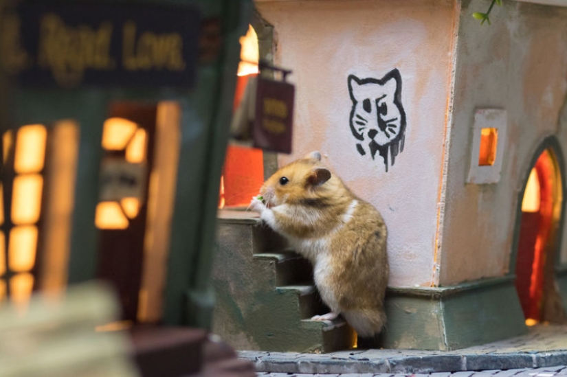Khomyakopolis is a miniature hamster city that looks better than yours