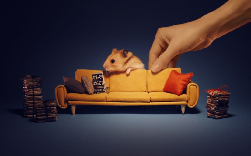 Khomyakopolis is a miniature hamster city that looks better than yours