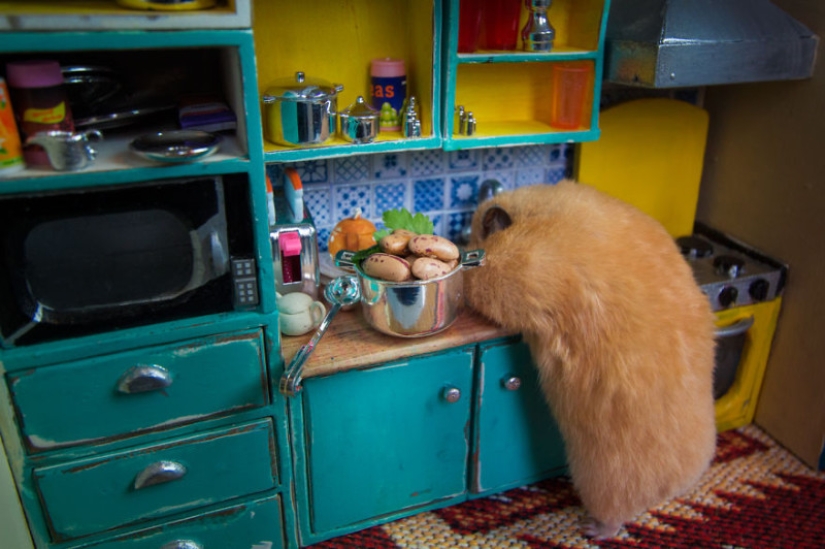 Khomyakopolis is a miniature hamster city that looks better than yours