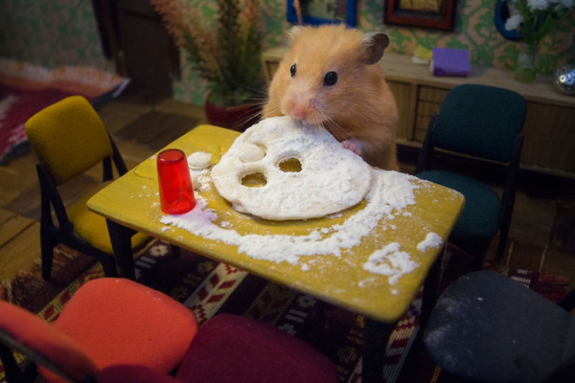 Khomyakopolis is a miniature hamster city that looks better than yours