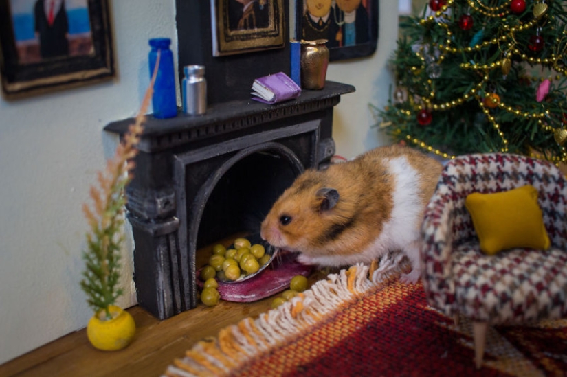 Khomyakopolis is a miniature hamster city that looks better than yours