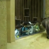 Kids are kids: gifs that will definitely make you smile