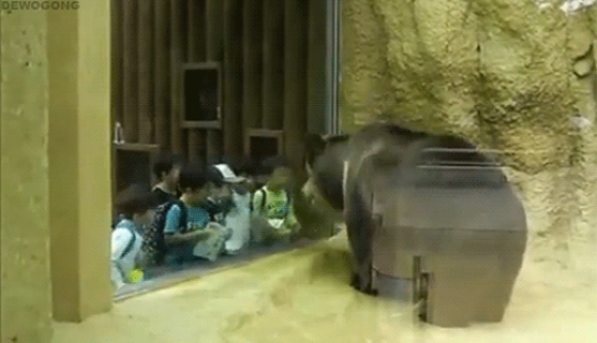 Kids are kids: gifs that will definitely make you smile Kids are kids: gifs that will definitely make you smile