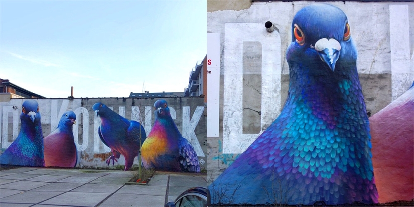 ¿Kurls-kurls? Artista callejero Super A y sus Palomas Gigantes