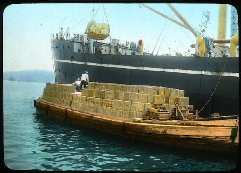 La administración de Bush para el consumidor: cómo se hizo la producción del té en Japón y el comienzo del siglo XX