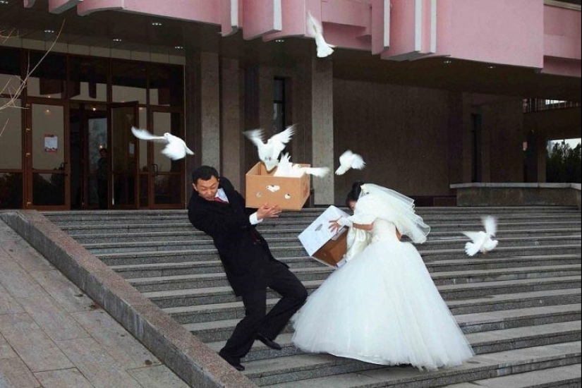 La basura más salvaje en la bruma de la juerga: "las mejores" fotos de boda de Rusia