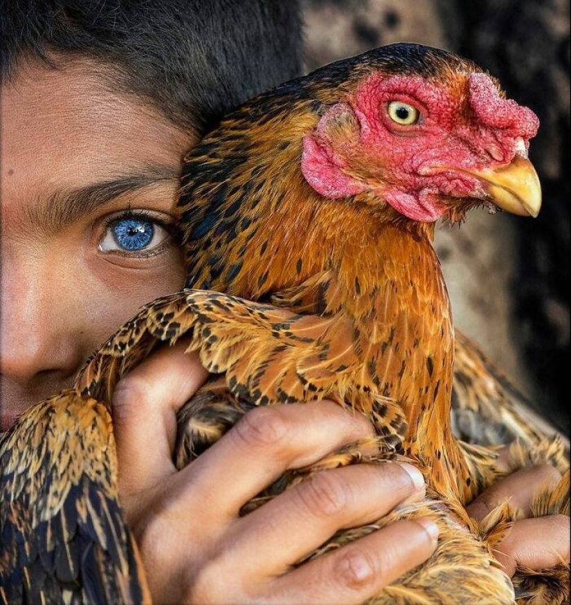 La belleza de los animales en 14 fotografías de Guru Charan La belleza de los animales en 14 fotografías de Guru Charan