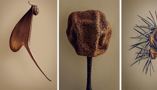 La belleza oculta de las semillas y las frutas por el fotógrafo británico Levon Biss La belleza oculta de las semillas y las frutas por el fotógrafo británico Levon Biss