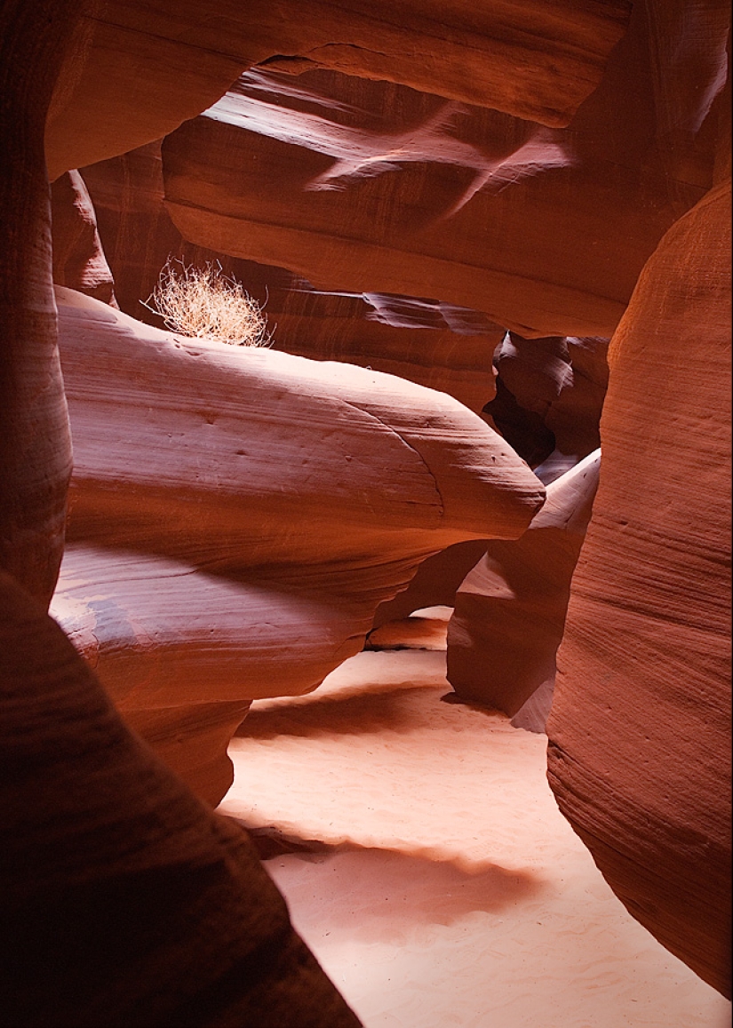 La belleza sobrenatural de Antelope Canyon