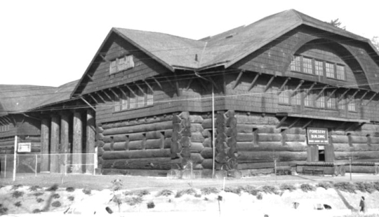 La cabaña más grande del mundo no se construyó en Rusia La cabaña más grande del mundo no se construyó en Rusia