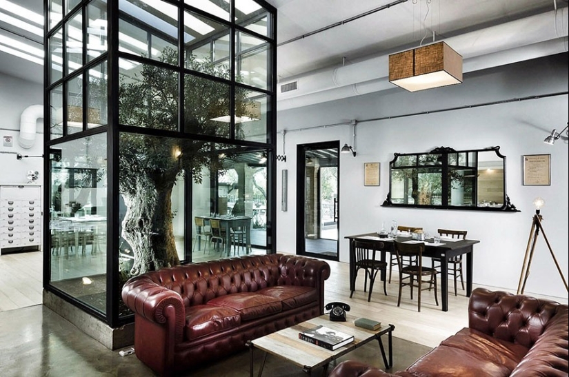 La casa, los arquitectos se negó a cortar los árboles La casa, los arquitectos se negó a cortar los árboles