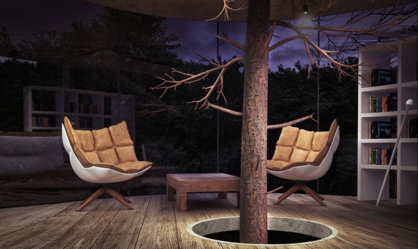 La casa, los arquitectos se negó a cortar los árboles La casa, los arquitectos se negó a cortar los árboles