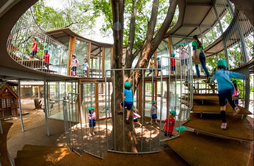 La casa, los arquitectos se negó a cortar los árboles La casa, los arquitectos se negó a cortar los árboles