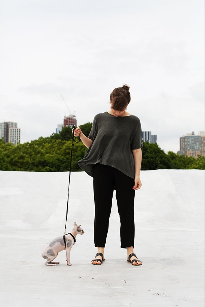 La chica, al abrigo de gatos sin hogar
