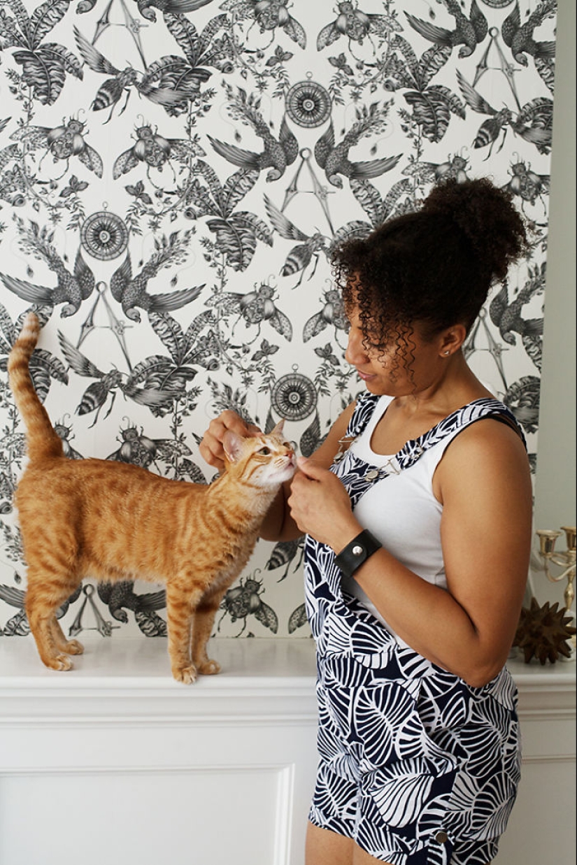 La chica, al abrigo de gatos sin hogar