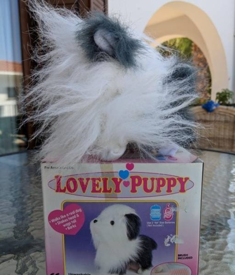 La espera frente a la realidad: una selección de fotos engañosas La espera frente a la realidad: una selección de fotos engañosas