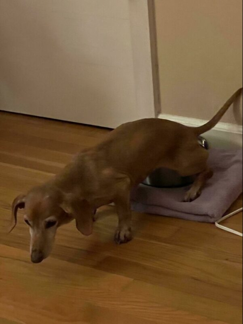 La gente mostró su mal día. Y lo lamentan de verdad