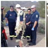 La gente mostró su mal día. Y lo lamentan de verdad