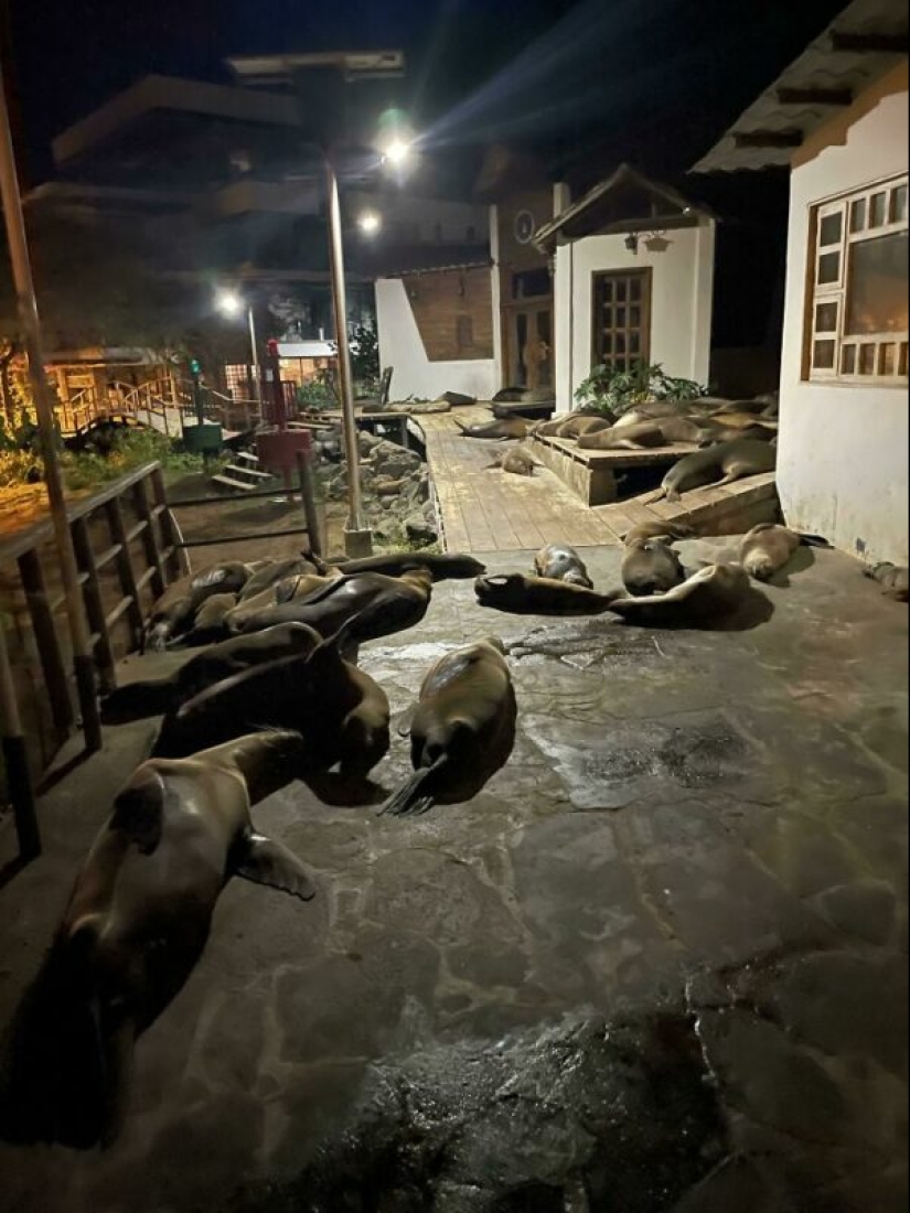 La gente mostró su mal día. Y lo lamentan de verdad