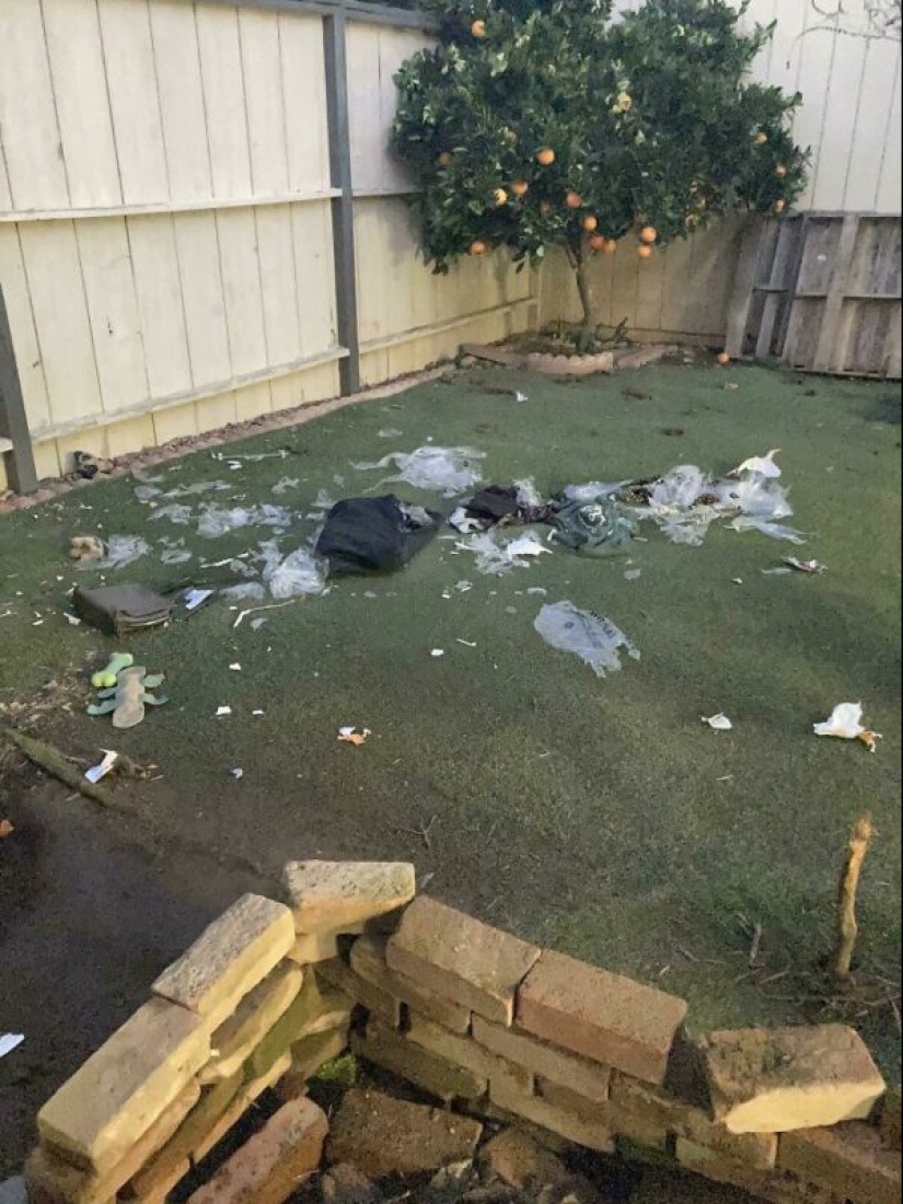 La gente mostró su mal día. Y lo lamentan de verdad