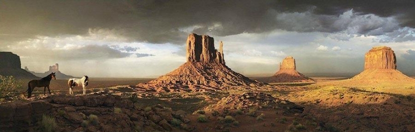 La gracia hermosos caballos en el proyecto Equus